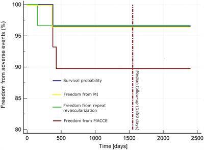 One-stage hybrid coronary revascularization for the treatment of multivessel coronary artery disease— Periprocedural and long-term results from the “HYBRID-COR” feasibility study